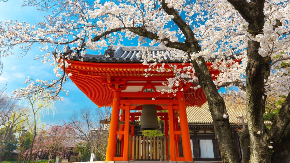 Japanese Temple at Spring sanjusangen-do Shinto, kyoto 