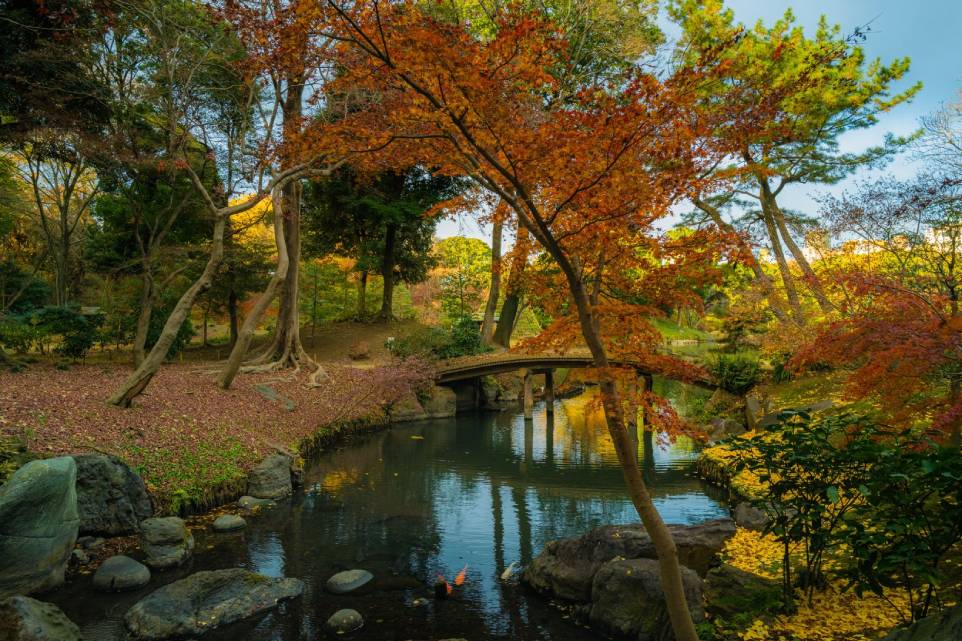 Jardines Rikugien, en Tokio, region de kanto, japon