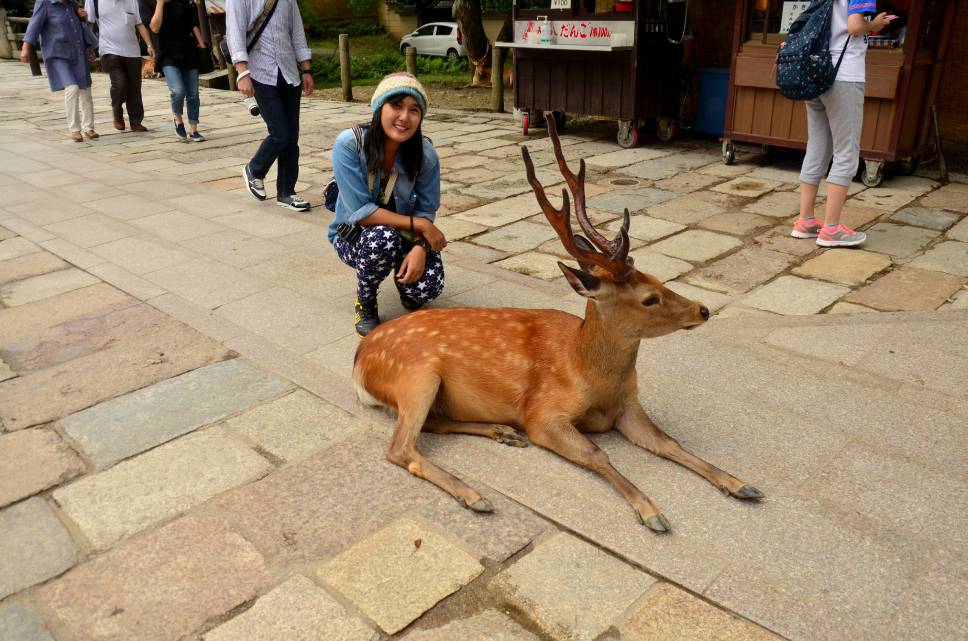 Nara, región de kansai