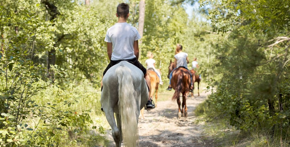 Montar a caballo, excursión, Japón