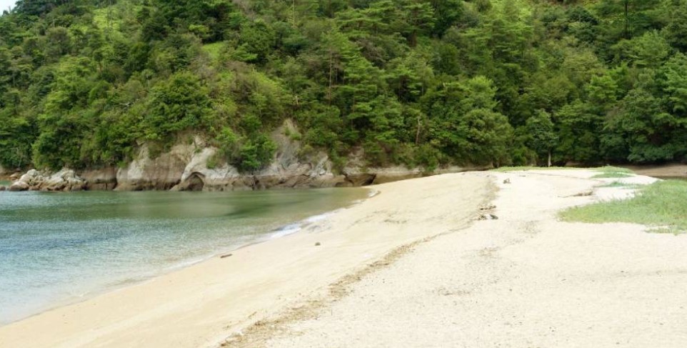 Miyajima, verano, playa, región de Chugoku, Japón