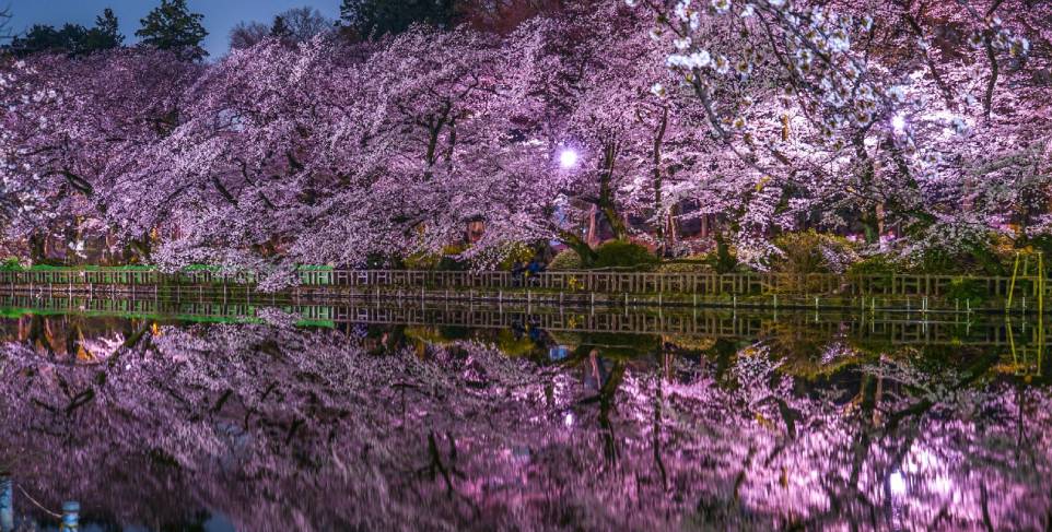parques y jardines, actividades gratuitas en Japón