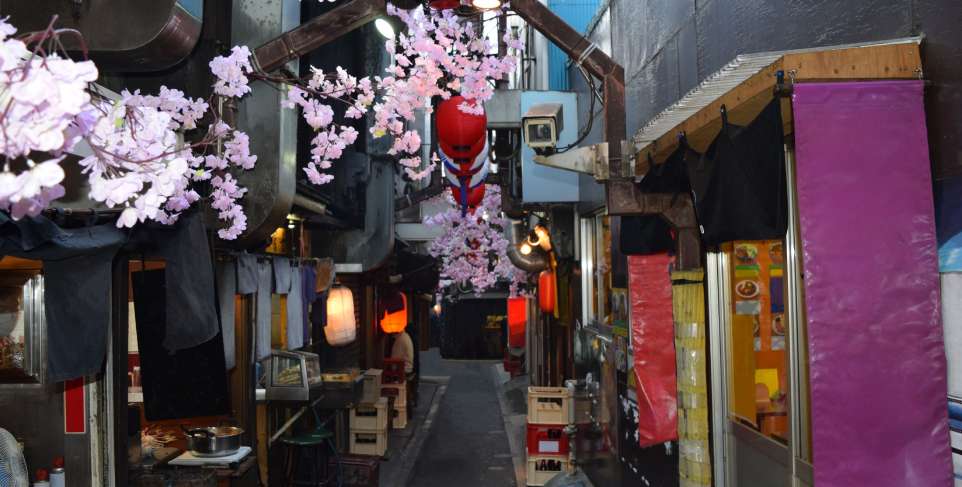 izakaya y vida nocturna en Japón, Ocio japonés