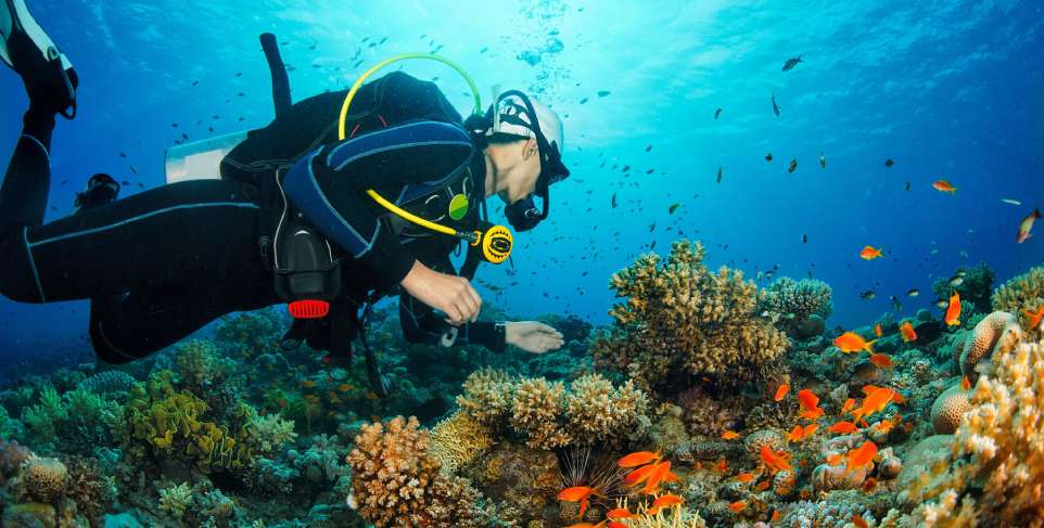 submarinismo en Japón